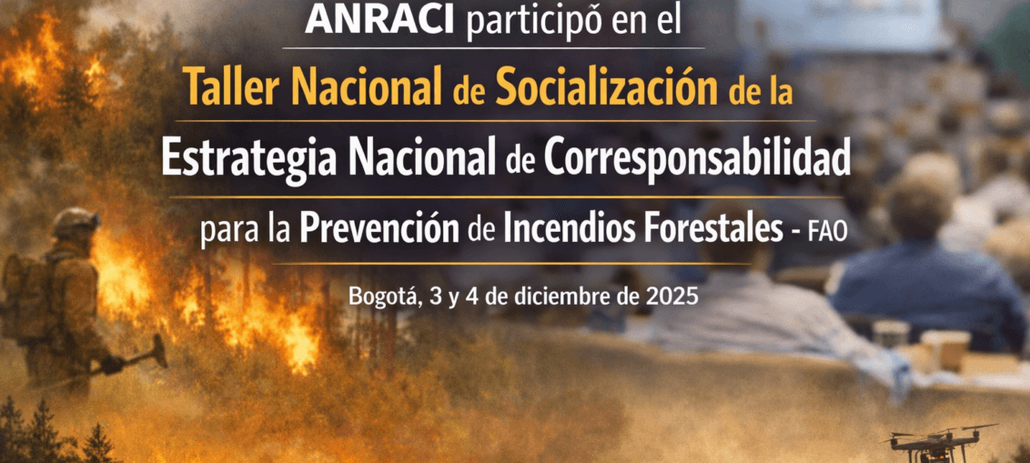 Taller Nacional de Socialización de la Estrategia Nacional de Corresponsabilidad para la Prevención de Incendios Forestales