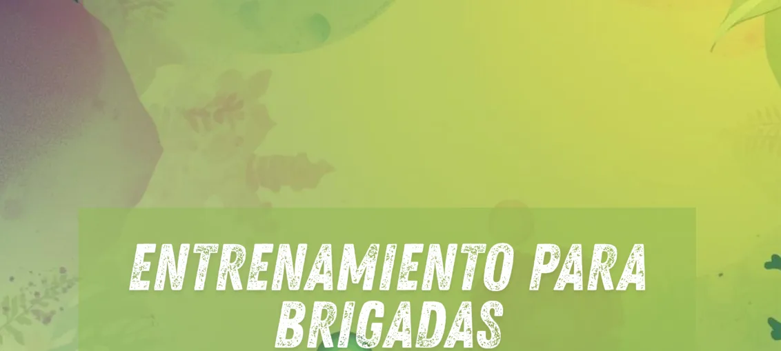 Entrenamiento para brigadas