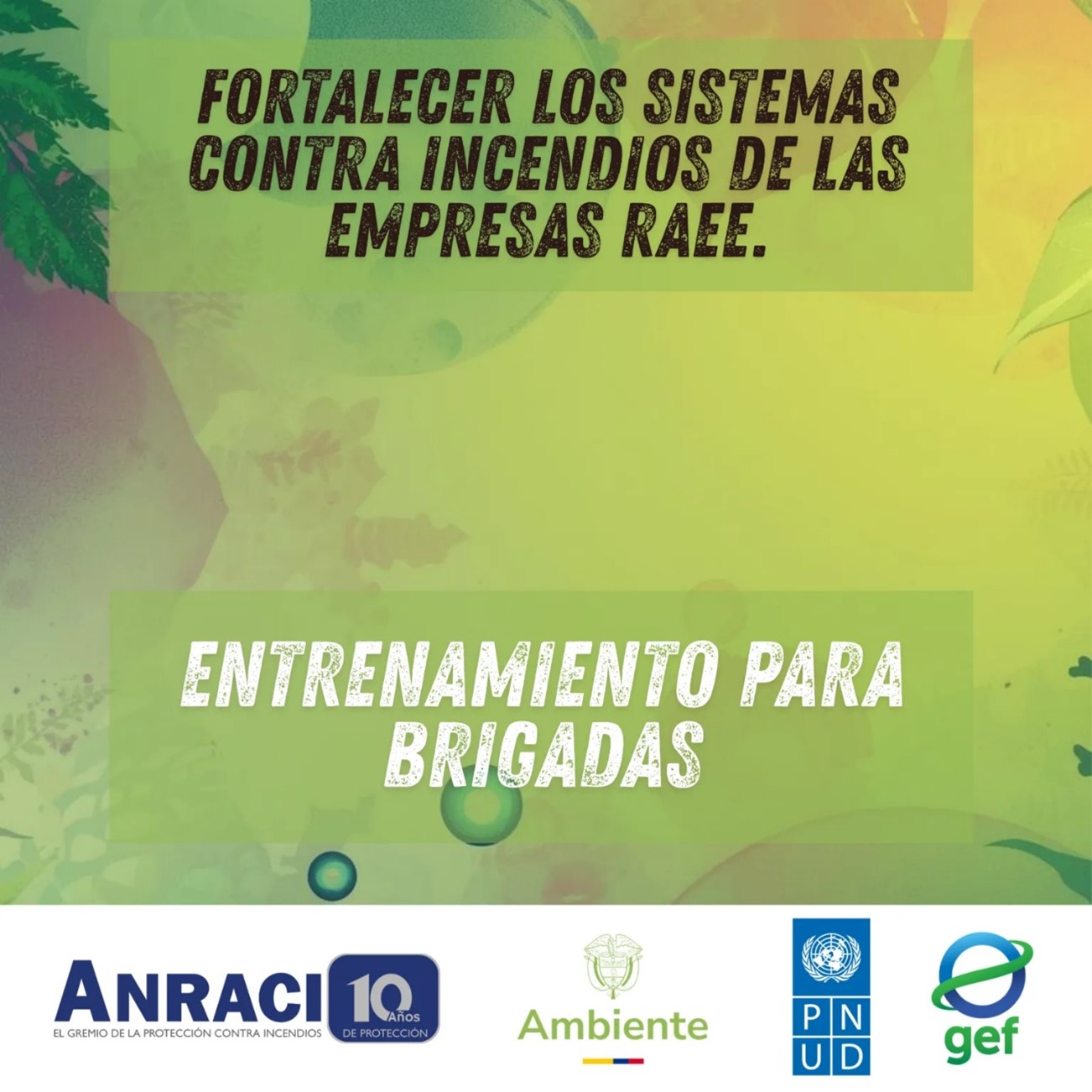 entrenamiento para brigadas